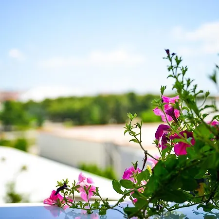 Lejlighed Deluxe Zararia *